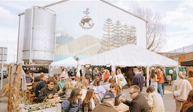 people enjoying seating outside