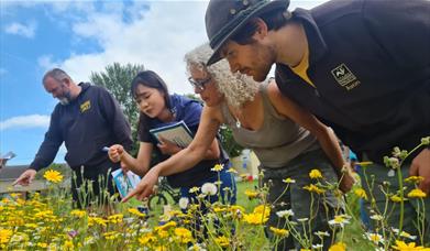 People inspecting flowers