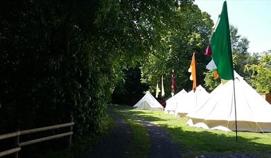 Brook Lodge Farm Camping tents