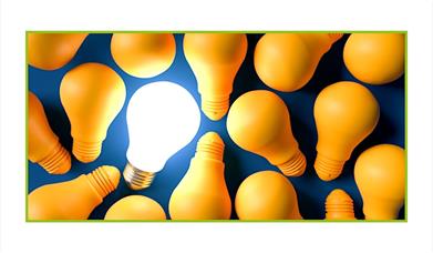 stock photo of lightbulbs, only one of which is illuminated