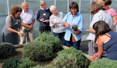 Jekka's Master Class