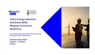 Infographic about the event including date, time, and venue (online)