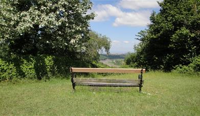 Bench on Clifton Down