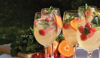 Summer Cocktails 