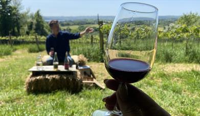 Wine glass