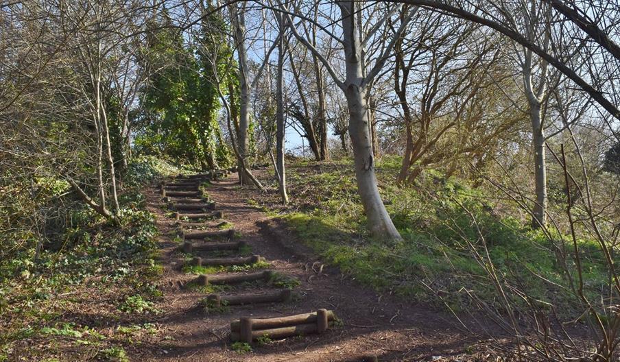 Royate Hill Nature Reserve
