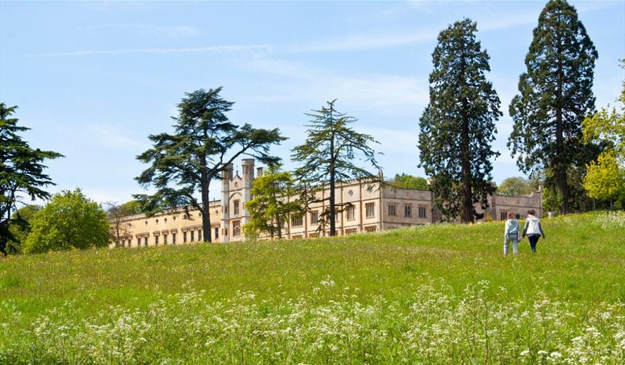 People walking in meadow at Ashton Court Estate