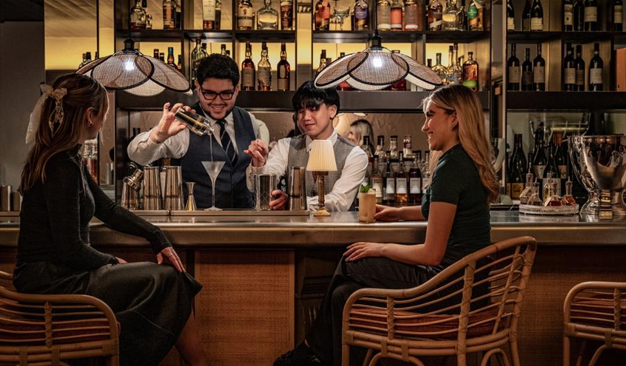 Bartenders mixing cocktails for people at the bar