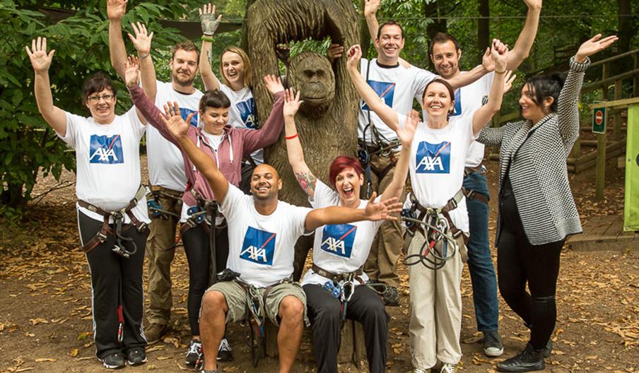 Go Ape Team Building