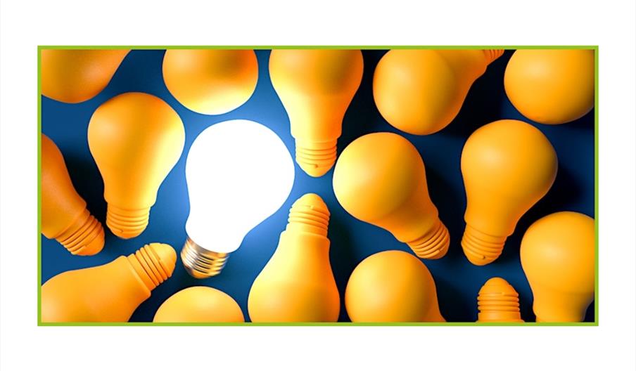 stock photo of lightbulbs, only one of which is illuminated