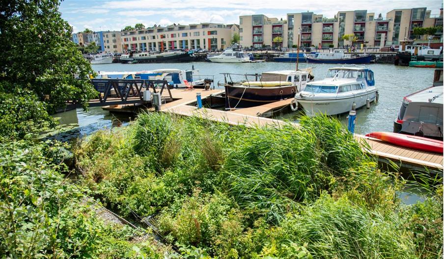 Bristol Harbour view