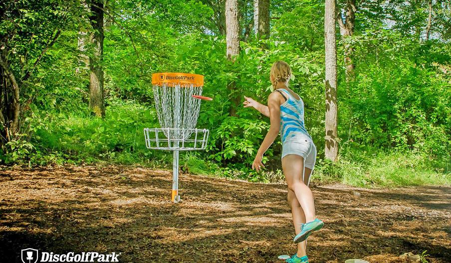 DiscGolf at Ashton Court Estate