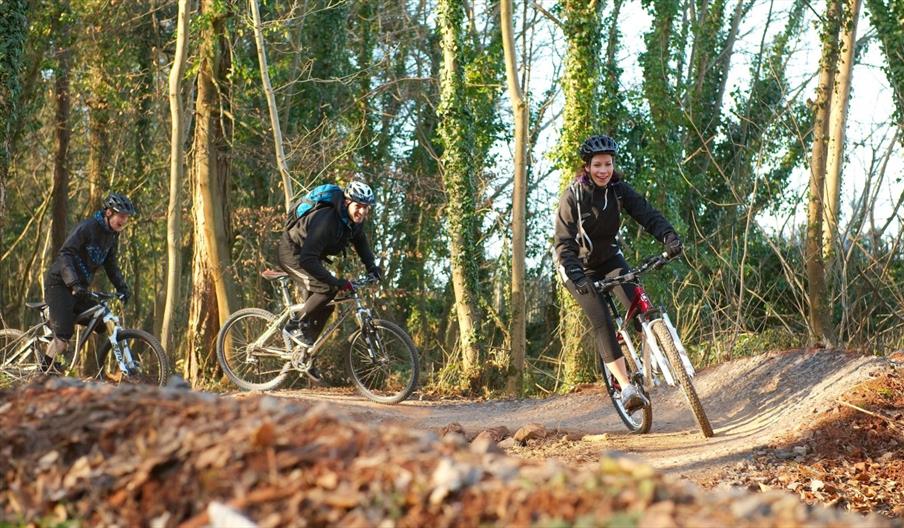 Pedal Progression cycling in forest