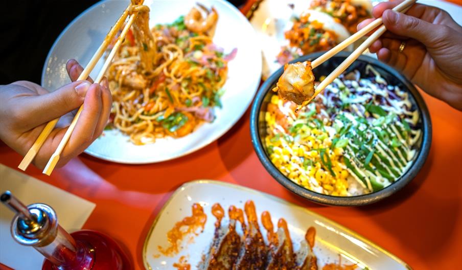 Noodle dishes, riche dishes, and hands holding chopsticks full of food.