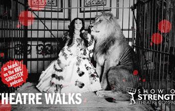 Blood and Butchery Theatre Walk Banner (Show of Strength)