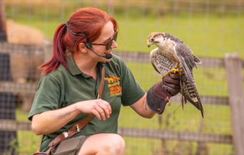 Noahs Ark Zoo Farm Keeper