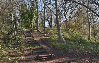 Royate Hill Nature Reserve