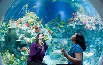 Bristol Aquarium
