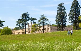 People walking in meadow at Ashton Court Estate