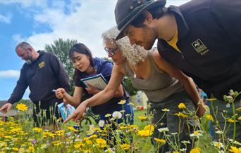 People inspecting flowers