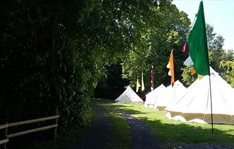 Brook Lodge Farm Camping tents