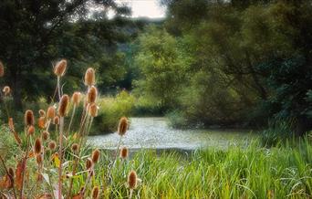 Eastwood Farm Nature Reserve CREDIT Martin Urmson
