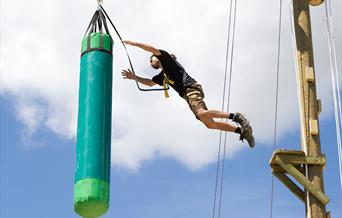 Bristol Zoo Project Team Building: Leap of Faith