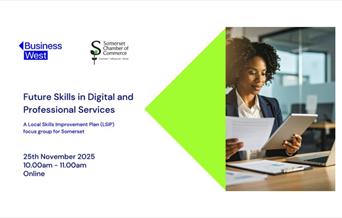 Infographic featuring the event name, the time, and location (online)