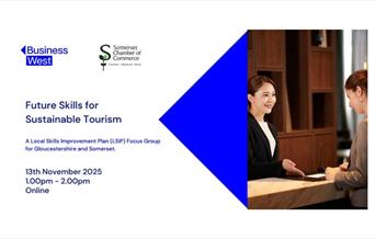 Infographic featuring the event name, the time, and location (online)