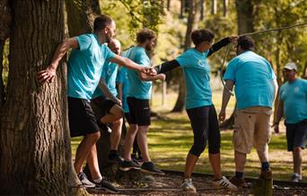 Mojo Active Low Ropes