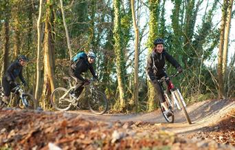 Pedal Progression cycling in forest