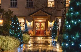 RCH Gardens with lights