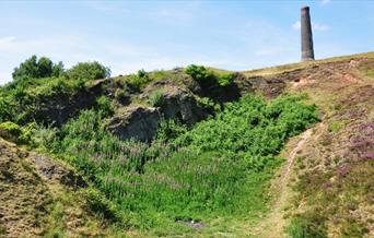 Troopers Hill Nature Reserve (c) Visit Bristol
