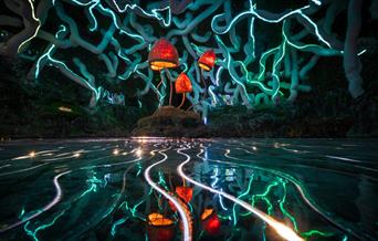 Neon mushrooms