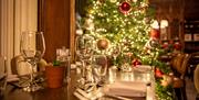 Tortworth , Christmas 2022
