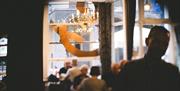 Froth and Fries interior