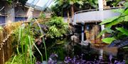Bristol Aquarium