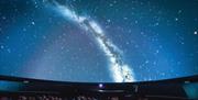 Stars