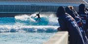 Surfer at The Wave