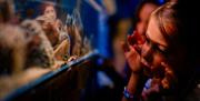Bristol Aquarium - child looking at fish tannk