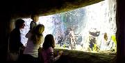 Bristol Aquarium