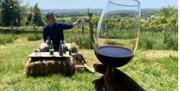 Wine glass