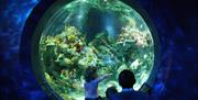 Bristol Aquarium