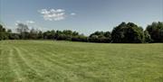 Team Building, Green, Acre, Grass area