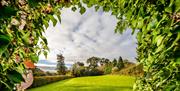 Sunny view of fields and greenery