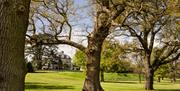 Gardens at Mercure Bristol North Grange
