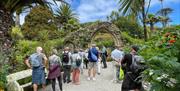 A group of people at Abbey Gardens with their backs to the camera