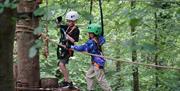Two children on high ropes in the tree tops wearing helmets