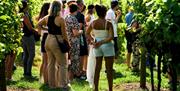 Group at vineyard