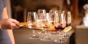 Wine tasting glasses